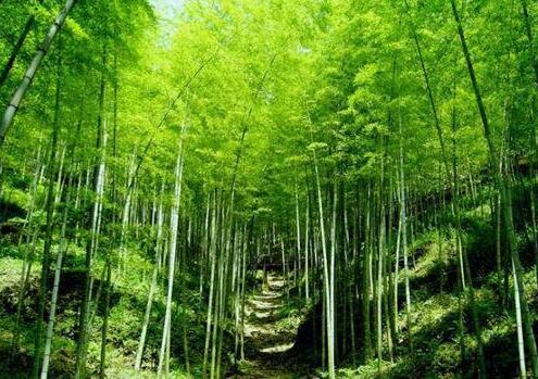 人少景美！五一小長(cháng)假最適合出游的的當地